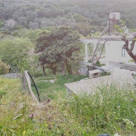 Angel Villa Strovles Bagian luar foto