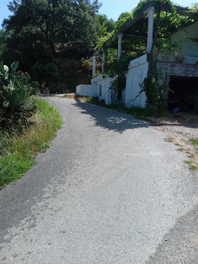 Angel Villa Strovles Bagian luar foto